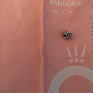 Pandora Rose Charm